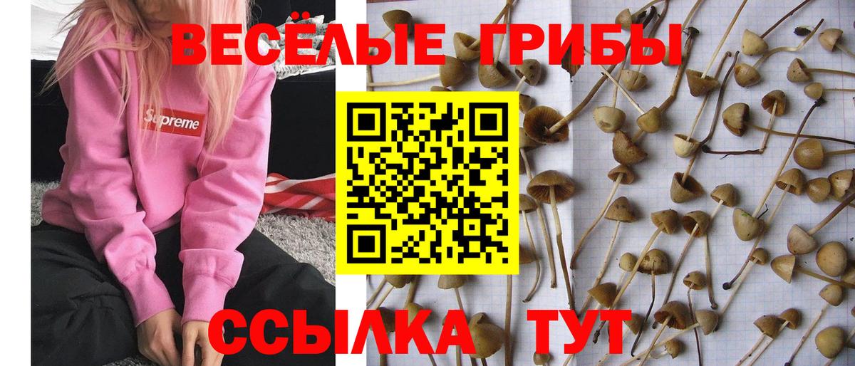 ГЕРОИН Кропоткин