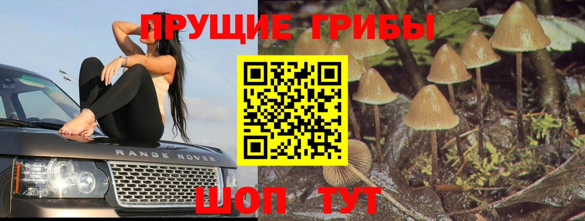 Псилоцибиновые грибы MAGIC MUSHROOMS Кропоткин