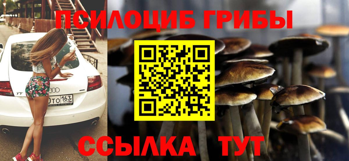 Кропоткин  Галлюциногенные грибы Psilocybe  Вход с VPN 